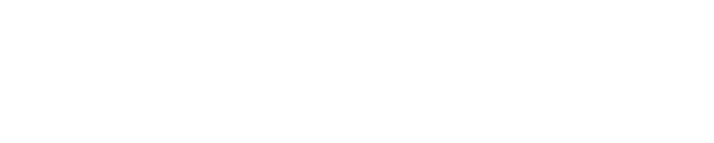 Dumdata